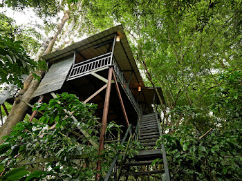 tree house